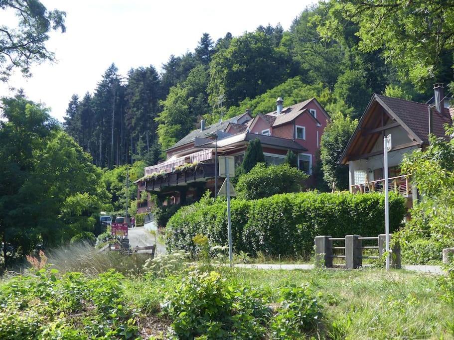 Entier Dans Un Ecrin De Verdure Thann