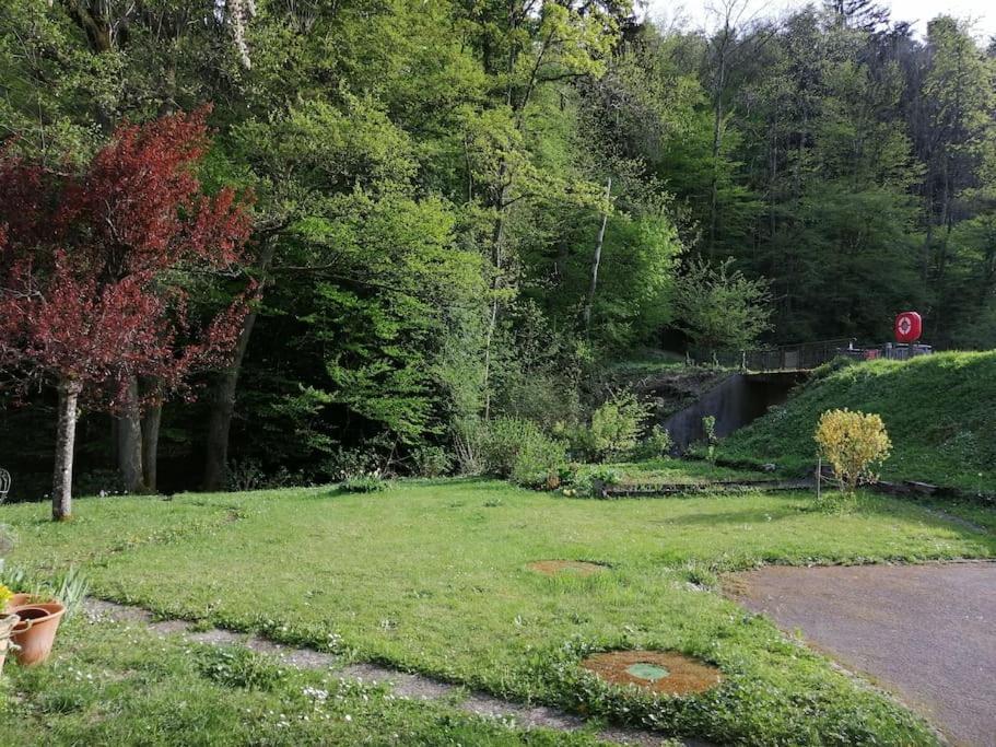Entier Dans Un Ecrin De Verdure Apartment Thann