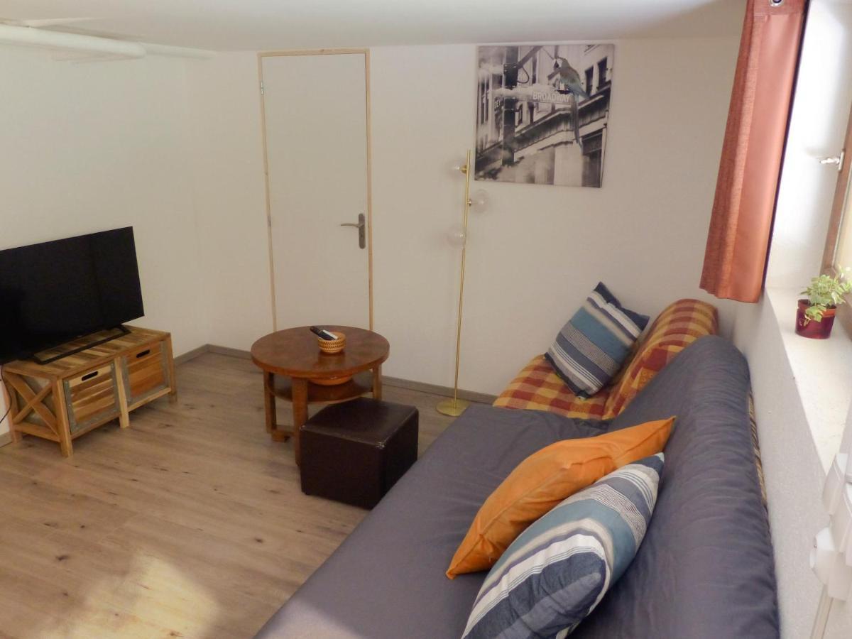 Entier Dans Un Ecrin De Verdure Apartment Thann